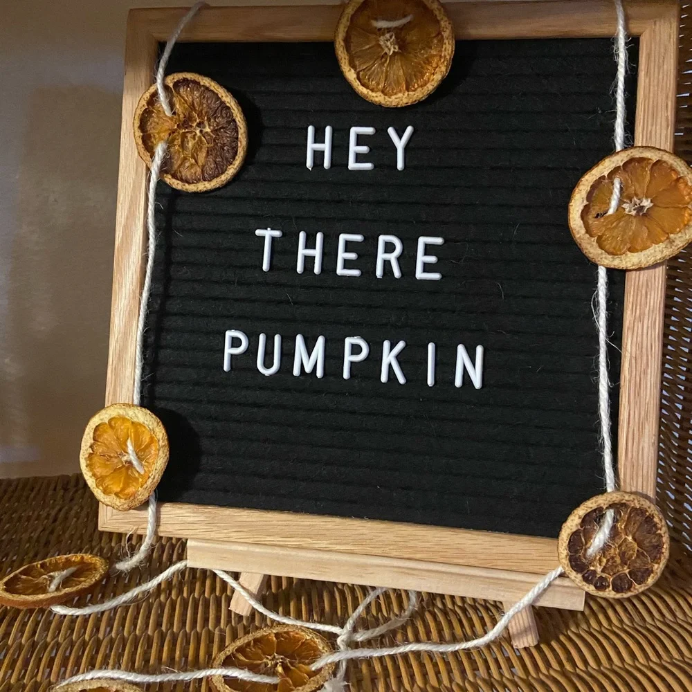 Dry Orange Garland, 30 feet
